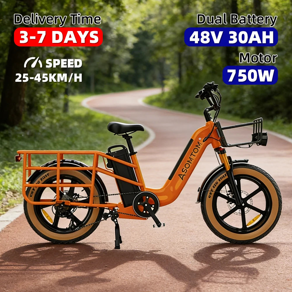 Mammoth-20 Heavy-Duty Electric Snow Bike