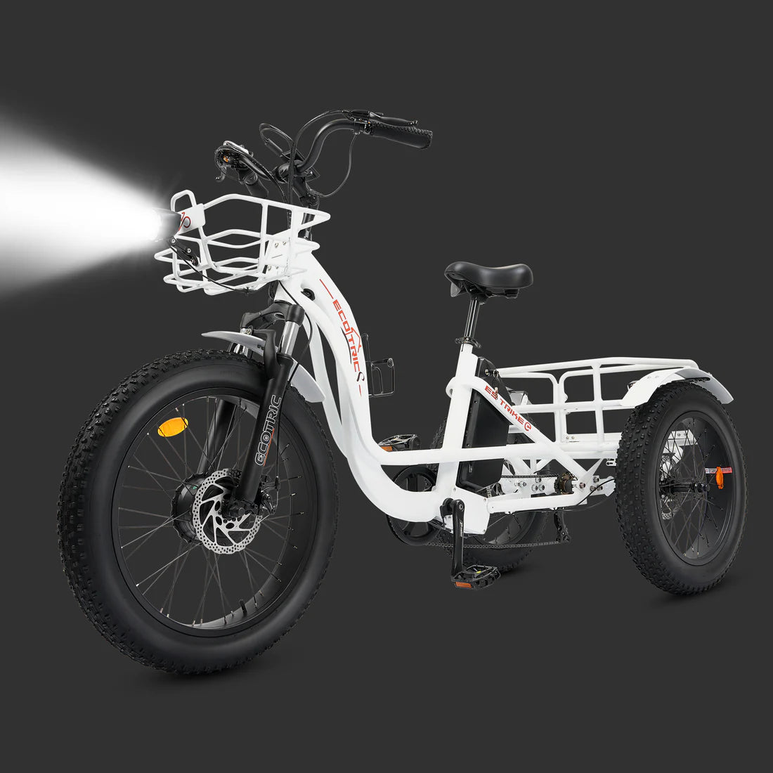 Ecotric Tricycle electric bike
