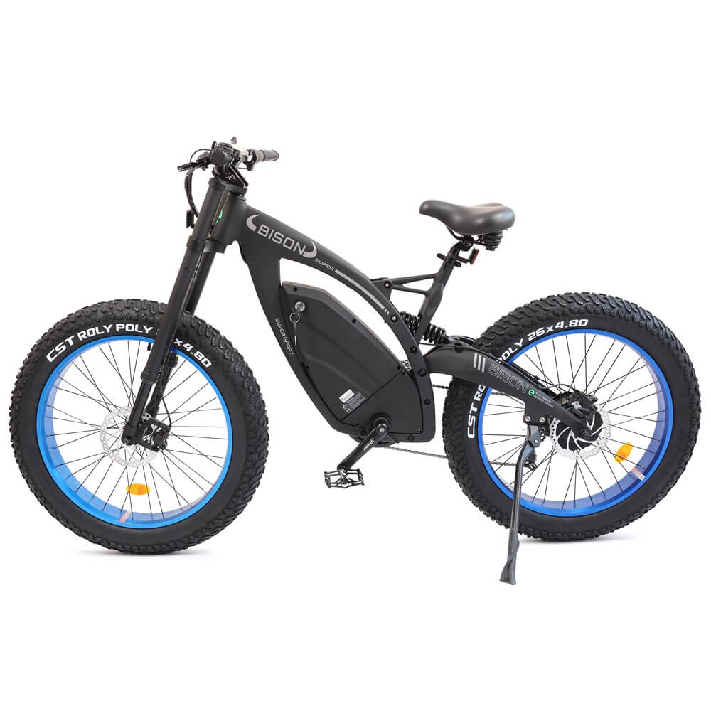 Ecotric Big fat tire E-bike Bison-Matt Black