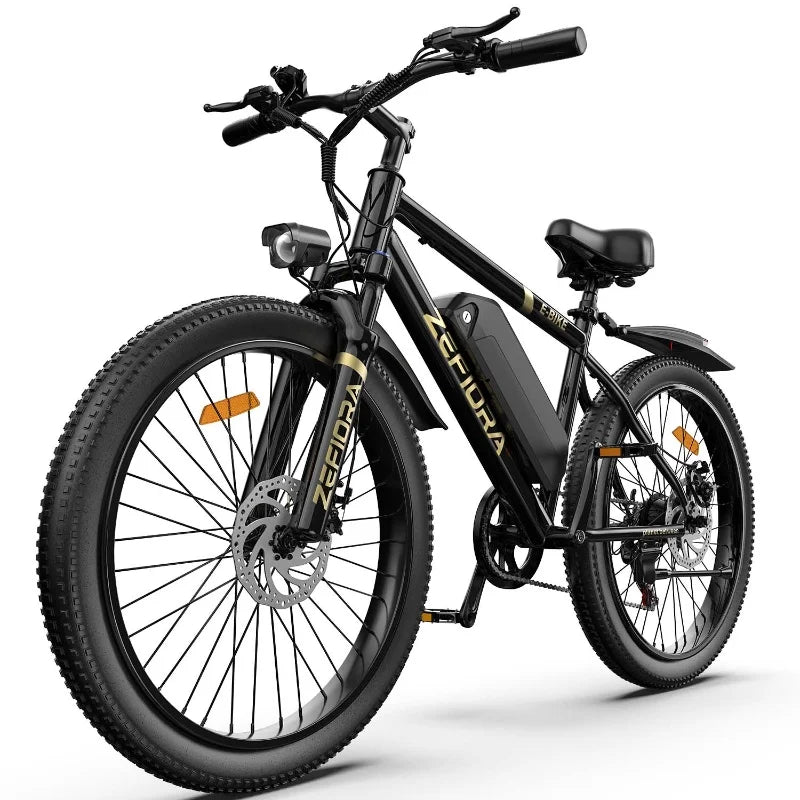 Electric Bike 1000W 1500W 2000W 3000W Motor 48V Battery Folding Commuter E-Bike for Adults