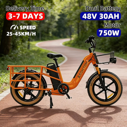 Mammoth-20 Heavy-Duty Electric Snow Bike
