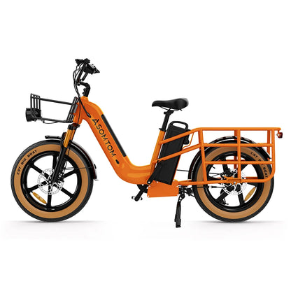 Mammoth-20 Heavy-Duty Electric Snow Bike