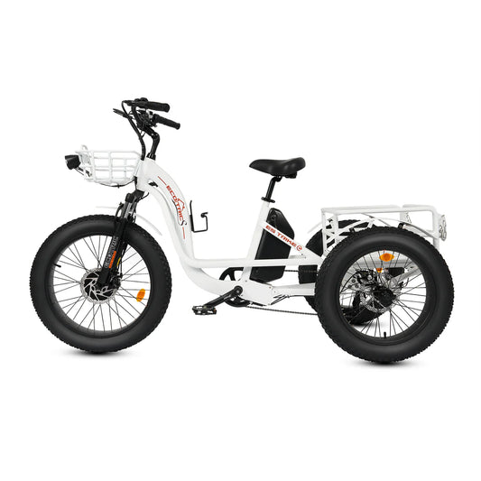 Ecotric Tricycle electric bike