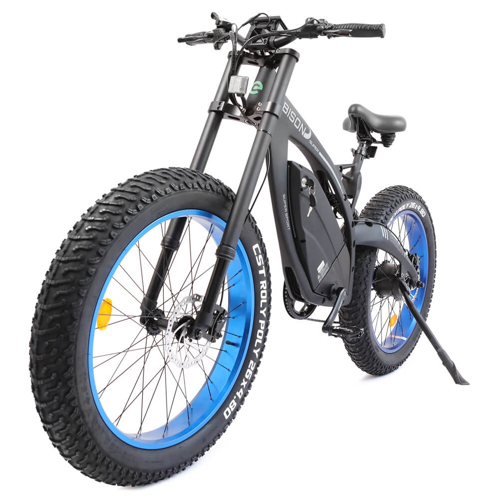 Ecotric Big fat tire E-bike Bison-Matt Black