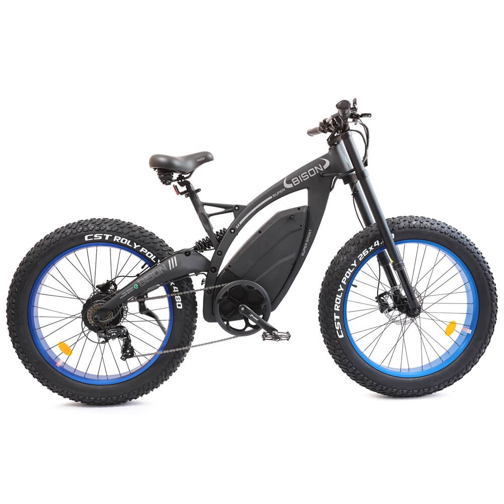 Ecotric Big fat tire E-bike Bison-Matt Black